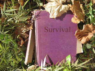 Survival