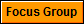 Focus Group