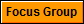 Focus Group