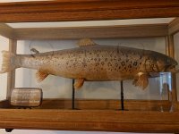 2023_Abschlussfahrt_71