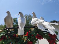 2024_FS-Sommerfest_34