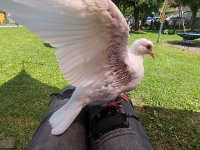 2025_FS-Sommerfest-46