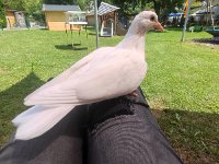 2025_FS-Sommerfest-47